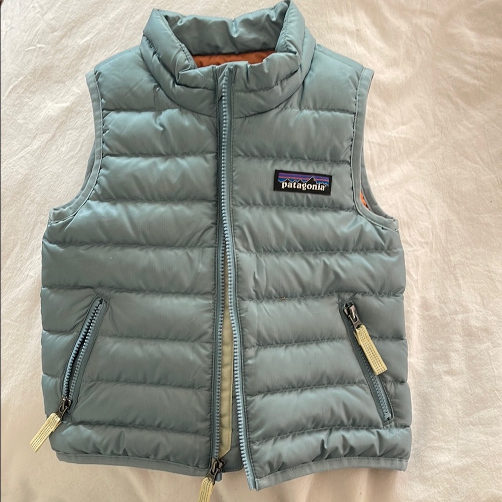 Patagonia Light Blue Puffer Vest